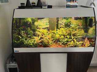 Aquarium Eheim Scubaby 270 Liter , 400 €, Marktplatz-Tiere & Tierbedarf in 2492 Eggendorf