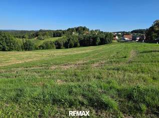 Sonniges Baugrundstück in Kohldorf 15 km östlich von Graz!, 60000 €, Immobilien-Grund und Boden in 8323 Kohldorf