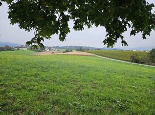 Landwirtschaftliche Nutzgründe - 3 Grundstücke, 0 €, Immobilien-Grund und Boden in 4060 Leonding Landwirtschaftliche Nutzgründe - 3 Grundstücke, 0 €, Immobilien-Grund und Boden in 4060 Leonding