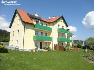 Geförderte 3-Zimmerwohnung, 553.54 €, Immobilien-Wohnungen in 3691 Nöchling Geförderte 3-Zimmerwohnung, 553.54 €, Immobilien-Wohnungen in 3691 Nöchling