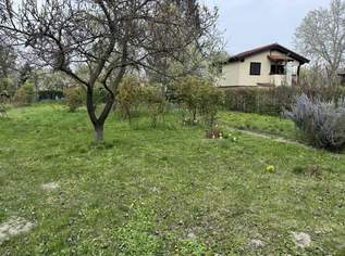 "KLEINGARTENTRAUM IN KORNEUBURG", 150000 €, Immobilien-Grund und Boden in 2100 Korneuburg