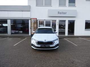 Octavia Combi 2,0 TDI DSG *LED*SHZ*KEYLESS*, 20990 €, Auto & Fahrrad-Autos in 4600 Wels