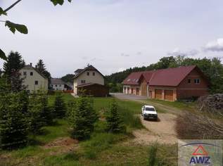 Großes Anwesen mit viel Wald in traumhafter Lage!, 1180000 €, Immobilien-Häuser in 4371 Dimbach