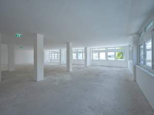 Erstbezug: Moderne Büroflächen in Hietzinger Bestlage, 5555.19 €, Immobilien-Gewerbeobjekte in 1130 Hietzing