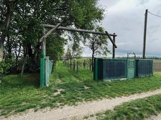 Landwirtschaftliche Fläche mit Weingarten