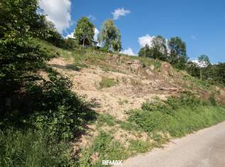 Großes sonniges Grundstück in Südhanglage, 299000 €, Immobilien-Grund und Boden in 4111 Walding Großes sonniges Grundstück in Südhanglage, 299000 €, Immobilien-Grund und Boden in 4111 Walding