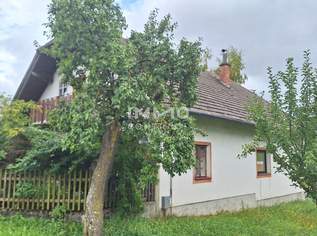 günstiges Wohnhaus mit ca. 125 m² Wohnfläche in Friedreichs auf 295 m² Grund - Sanierungsbedarf, 59000 €, Immobilien-Häuser in 3922 Friedreichs