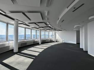 Arbeiten mit Aussicht im Millenniumtower, 5312.5 €, Immobilien-Gewerbeobjekte in 1200 Brigittenau