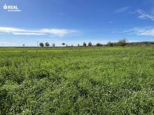 Exklusives Grundstück - Grüner Ausblick bis zum Neusiedlersee, 399000 €, Immobilien-Grund und Boden in 7092 Gemeinde Winden am See