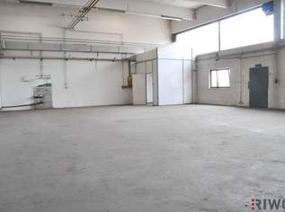 220m² ebenerdige Lagerhalle im Gewerbegebiet Strebersdorf!, 1937 €, Immobilien-Gewerbeobjekte in 1210 Floridsdorf