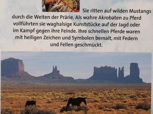 Neues Buch, Wilde Mustangs - Kühne Reiter Neues Buch, Wilde Mustangs - Kühne Reiter