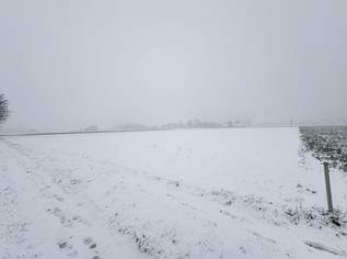 1,5 ha Landwirtschaftlicher Nutzgrund/Acker Gstocket, 300000 €, Immobilien-Grund und Boden in 4072 Alkoven 1,5 ha Landwirtschaftlicher Nutzgrund/Acker Gstocket, 300000 €, Immobilien-Grund und Boden in 4072 Alkoven