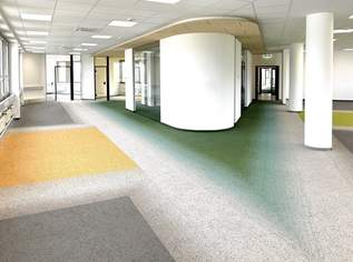 Flexible Büroflächen mit Top-Verkehrsanbindung in Strebersdorf, 8260 €, Immobilien-Gewerbeobjekte in 1210 Floridsdorf