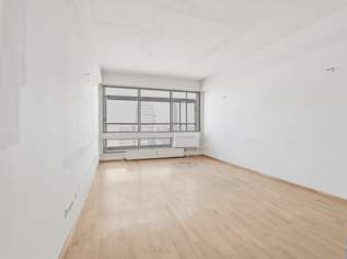 Laurenzi am Fluss- Wohnen und Arbeiten mit Weitblick!, 970000 €, Immobilien-Wohnungen in 1010 Innere Stadt