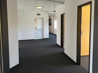 Feste Bürofläche ODER kurzfristige Einzelbüros – alles in einem Objekt!, 0 €, Immobilien-Gewerbeobjekte in 4121 Altenfelden