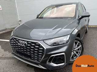 Q5 50 TDI quattro S line, 49970 €, Auto & Fahrrad-Autos in 6971 Marktgemeinde Hard