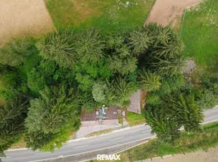 1.700 m² Baugrundstück mit Altbestand – vielseitiges Entwicklungspotenzial in Sittersdorf, 68000 €, Immobilien-Grund und Boden in 9133 Sittersdorf 1.700 m² Baugrundstück mit Altbestand – vielseitiges Entwicklungspotenzial in Sittersdorf, 68000 €, Immobilien-Grund und Boden in 9133 Sittersdorf