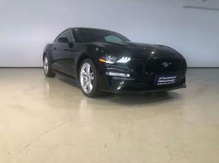 Mustang 2,3 EcoBoost Automatik Coupé *MOTOR NEU*, 35900 €, Auto & Fahrrad-Autos in 4600 Wels