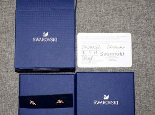 Swarovski Damen-Ohrstecker 5429352, 32 €, Kleidung & Schmuck-Accessoires, Uhren, Schmuck in 3370 Gemeinde Ybbs an der Donau Swarovski Damen-Ohrstecker 5429352, 32 €, Kleidung & Schmuck-Accessoires, Uhren, Schmuck in 3370 Gemeinde Ybbs an der Donau