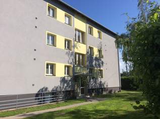 Neubauwohnung in Münchendorf!, 916.4 €, Immobilien-Wohnungen in 2482 Münchendorf