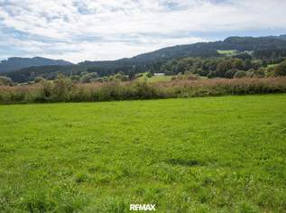 Große Gewerbefläche in Wiesenau - auch kleine Parzellen verfügbar, 2650975 €, Immobilien-Gewerbeobjekte in 9462 Bad Sankt Leonhard im Lavanttal Große Gewerbefläche in Wiesenau - auch kleine Parzellen verfügbar, 2650975 €, Immobilien-Gewerbeobjekte in 9462 Bad Sankt Leonhard im Lavanttal