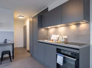 Stilvolle Apartments für eine einfache Ankunft in Graz – Willkommen bei Lumis!, 686.24 €, Immobilien-Wohnungen in 8010 