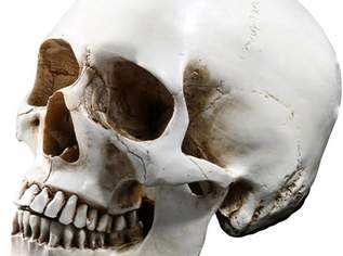 Dekoration / Totenkopf (Replik 1:0,9)