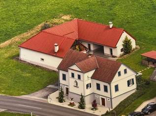 Gelegenheit! Sehr gepflegter Landsitz mit großem Wirtschaftsgebäude, 265000 €, Immobilien-Häuser in 8355 Tieschen