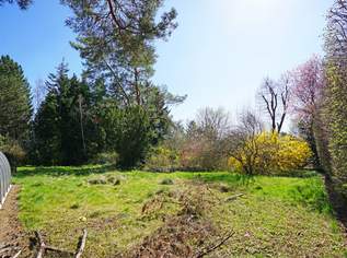 Villengrundstück in Waldrandruhelage zwischen Wolfersberg und Kolbeterberg, 1980000 €, Immobilien-Grund und Boden in 1140 Penzing Villengrundstück in Waldrandruhelage zwischen Wolfersberg und Kolbeterberg, 1980000 €, Immobilien-Grund und Boden in 1140 Penzing