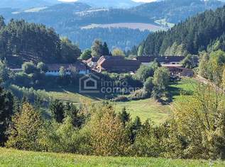 Mühlviertler Hof mit 15,2 ha in Alleinlage – Paradies für Visionäre, Familien & Gemeinschaftsprojekte, 910385 €, Immobilien-Gewerbeobjekte in 4294 Sankt Leonhard bei Freistadt Mühlviertler Hof mit 15,2 ha in Alleinlage – Paradies für Visionäre, Familien & Gemeinschaftsprojekte, 910385 €, Immobilien-Gewerbeobjekte in 4294 Sankt Leonhard bei Freistadt