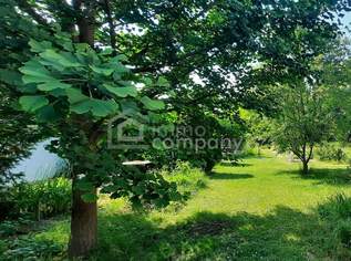 Eigenheim-Grundstück im Speckgürtel von Wien, 270000 €, Immobilien-Grund und Boden in 2486 Katastralgemeinde Pottendorf