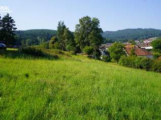 Traumhaftes Baugrundstück Nähe Weitra: 1.060 m² warten auf Sie, 28620 €, Immobilien-Grund und Boden in 3962 Höhenberg