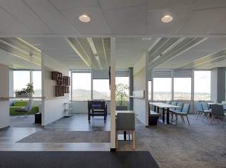 Saturn Tower - Büroflächen zu mieten, 17 €, Immobilien-Gewerbeobjekte in 1220 Donaustadt