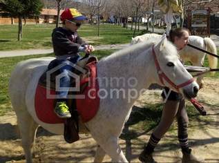 Traumhafter Grund mit Teilwidmung Reitplatz/Reitanlage - 7250 m² um nur 80.000 €!, 80000 €, Immobilien-Grund und Boden in 7321 Unterfrauenhaid