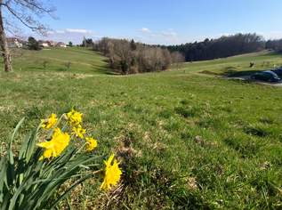 Eine Gelegenheit für Naturverbundene: Baugrundstück am Rande von Kumberg bei Graz, 150000 €, Immobilien-Grund und Boden in 8063 Hart bei Eggersdorf