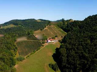 „Exklusivität im Großformat – 5 Hektar für außergewöhnliche Ansprüche“, 1349000 €, Immobilien-Häuser in 8453 Saggau