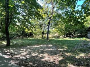 Ruhig gelegenes Baugrundstück mit eigener Zufahrt in Bad Fischau-Brunn, 439000 €, Immobilien-Grund und Boden in 2721 Bad Fischau Ruhig gelegenes Baugrundstück mit eigener Zufahrt in Bad Fischau-Brunn, 439000 €, Immobilien-Grund und Boden in 2721 Bad Fischau