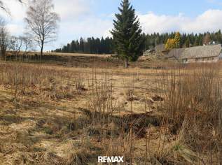 Großzügiges Grundstück mit Entwicklungspotenzial – ideal für Eigenheim & Bauträger“, 98000 €, Immobilien-Grund und Boden in 4184 Köckendorf