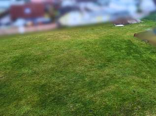 Grieskirchen Vista – Errichte dein Eigenheim 2, 120340 €, Immobilien-Grund und Boden in 4710 Grieskirchen