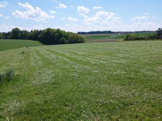 landwirtschaftlicher Grund mit guter Anbindung, 73500 €, Immobilien-Grund und Boden in 5261 Anzenberg landwirtschaftlicher Grund mit guter Anbindung, 73500 €, Immobilien-Grund und Boden in 5261 Anzenberg