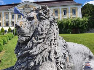 Interessantes Zinshaus in Enns!, 0 €, Immobilien-Häuser in 4470 Enns