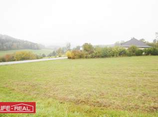 Schafzucht, Pferdezucht, schöne, große landwirtschaftliche Nutzfläche, in ruhiger Lage, 47474 €, Immobilien-Grund und Boden in 4150 Berg bei Rohrbach