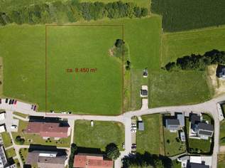 Bauträgergrundstück mit Potenzial, 0 €, Immobilien-Grund und Boden in 9122 Sankt Kanzian am Klopeiner See