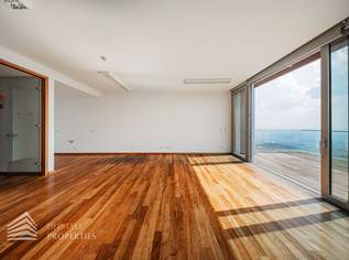 Über den Dächern Wiens! Traumhafte Garconniere mit Terrasse, 1360 €, Immobilien-Wohnungen in 1190 Döbling
