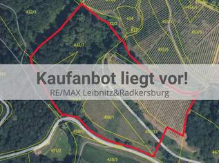 Scheibengrundstück mit Altbestand in Kranach, Gemeinde Gamlitz, 249000 €, Immobilien-Häuser in 8462 Gamlitz