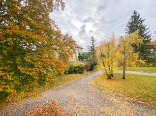 Sonnige 3,5-Zimmer-Balkonwohnung, 549000 €, Immobilien-Wohnungen in 1170 Hernals Sonnige 3,5-Zimmer-Balkonwohnung, 549000 €, Immobilien-Wohnungen in 1170 Hernals