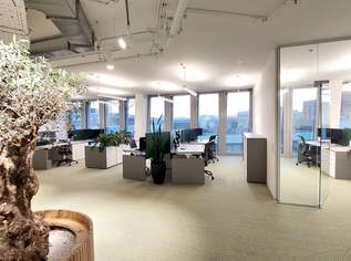 NEU: Intelligente Bürofläche im AUSTRO TOWER - 415 m², 12346.91 €, Immobilien-Gewerbeobjekte in 1030 Landstraße