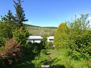 Kleingartenidylle mit Weinbergblick – nettes Sommerhäuschen mit Potenzial für Neubau!, 199000 €, Immobilien-Häuser in 1190 Döbling