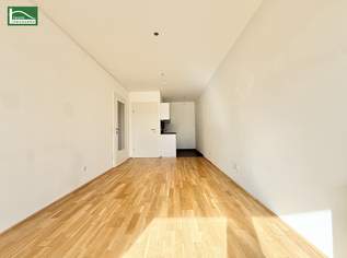 Urban & modern - Wohnen im beliebten Bezirk Lend!, 624.74 €, Immobilien-Wohnungen in 8020 