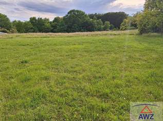 Traumgrundstück in Ilz: Sonnig, ruhig und Zentrum fußläufig erreichbar!, 0 €, Immobilien-Grund und Boden in 8262 Ilz